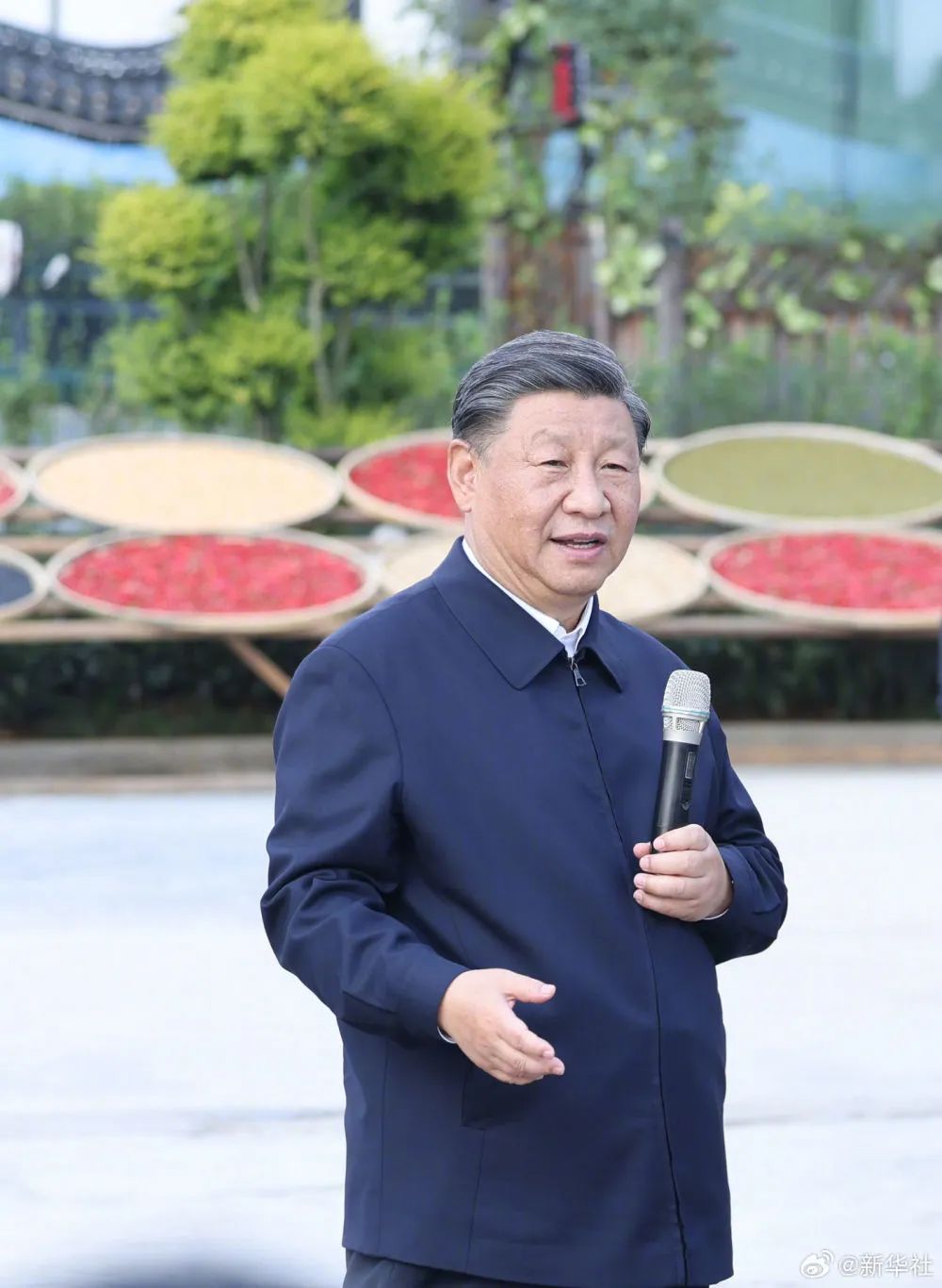 佰利乐·(中国区)有限公司官网